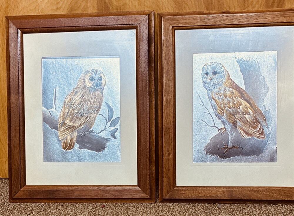 Pair Vtg M. Goldsmith Silver Gold 70’s MCM Foil Owl Etchings High Quality Frame